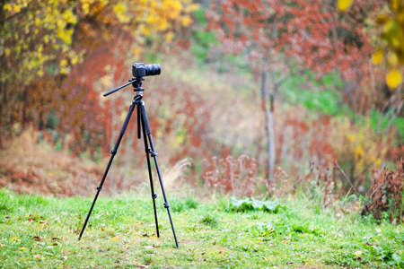 Tripod with camera lens standing on autumn lawn in forestの写真素材