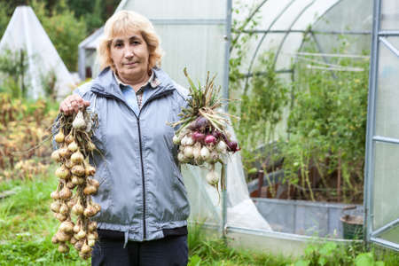 Portrait of mature gardener stands in front of greenhouse with onion harvest in hands, outdoor