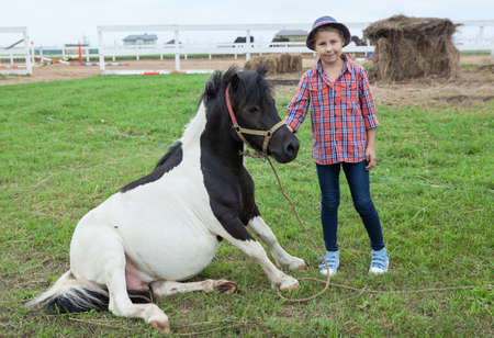 Small pony horse sitting like a dog on green grass with girl standing near, countrysideの写真素材