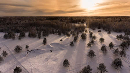Setting sun over evergreen winter forest with long shadows on snow, aerial viewの写真素材