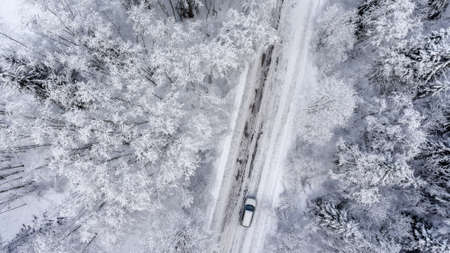 Suv driving in white snowy evergreen forest on slipery asphalt road. Aerial view from droneの写真素材