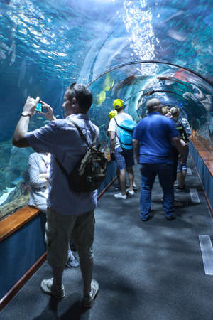 PUERTO DE LA CRUZ, TENERIFE, SPAIN-CIRCA 2016, JAN: Many visitors make photos in underwater tunnel of the Loro Parque Aquarium. Loro Parque is the best zoo in Europeのeditorial素材