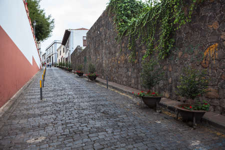 Wall is in narrow street near the Iglesia Mayor de San Marcos with Dracaena draco tree. Icon De Los...