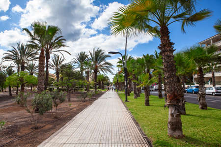 COSTA ADEJE, TENERIFE, SPAIN-CIRCA 2016, JAN: Wide stairway leads to the ocean coast from TF-1 highway in surroundings of city. Costa Adeje is a small resort town in south of islandのeditorial素材
