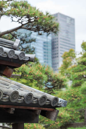 Ancient traditional Japanese roof against evergreen pines and contemporary skyscrapers on backgroundの写真素材