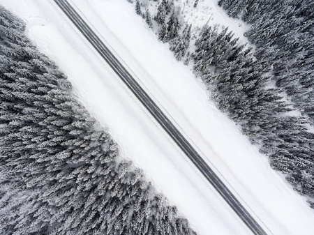 Top view at wintry slippery road passing through the snow covered coniferous forest, diagonal viewの写真素材