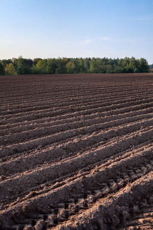 Newly ploughed field ready for new crops, close-up view at the brown earth