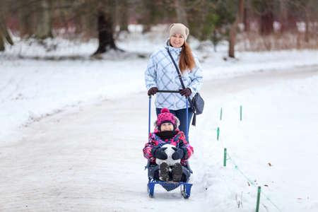 Adult woman walking with her baby on winter park way, pulling sled with daughter on snow pathway, copyspaceの写真素材