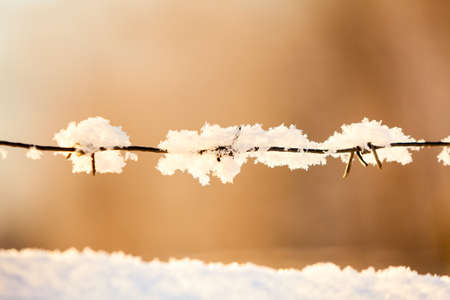 Snowflakes on barbed wire against orange sunset sky background at winter seasonの写真素材