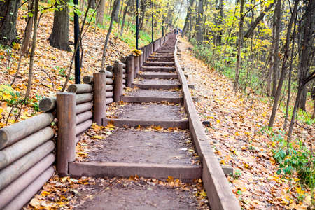 Stairway with wooden rails in autumn forestの写真素材