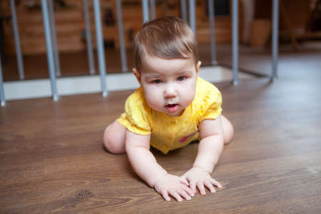 Seven month old baby learning to stand on knees after crawling on hardwood floor in domestic room