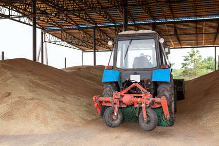 Flat grain storage capacity with sweeper tractor unit, grain warehouse or clean span granary