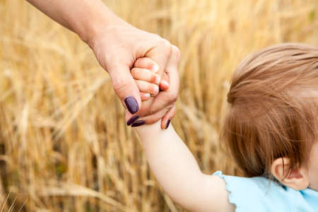 Close up view at mother and her infant child arms holding together against golden wheat background, Caucasian peopleの写真素材