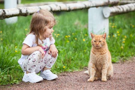Little Caucasian girl sitting on pathway with red cat, kid and petの写真素材