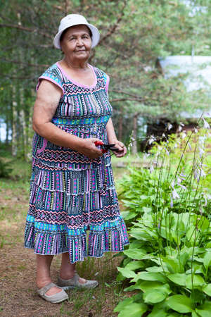 Old Caucasian lady with garden pruner in her hands, grandma works in spring season outdoorの写真素材
