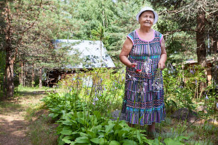 Senior female gardener working in her farm and smiling, full length portrait with garden pruner in her handsの写真素材