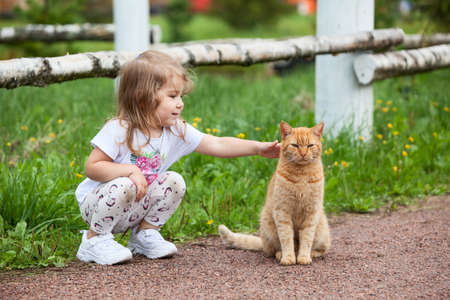Little Caucasian girl strokes a red cat outdoorsの写真素材