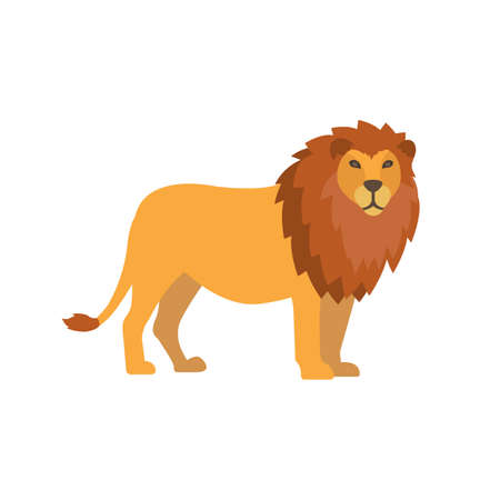Flat lion isolated on white background. vector illustrationのイラスト素材