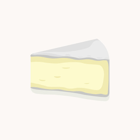 Delicious Camembert cheese. Colorful illustration.のイラスト素材