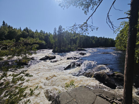 Panoramic view of turbulent river with rapids small elevation drops wild nature hiking kayaking...
