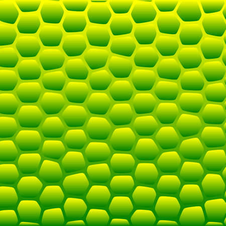 illustration of a colorful scale pattern backgroundのイラスト素材