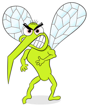 vector illustration of a bloodthirsty mosquito o whiteのイラスト素材