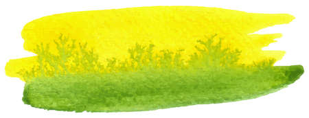 vector illustration of a watercolor brushstrokeのイラスト素材