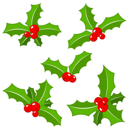 vector illustration of a set of christmas holly leaves isolated on whiteのイラスト素材