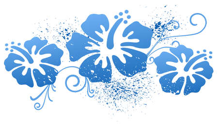 illustration of graphic hibiscus flowers with splashes of colorのイラスト素材