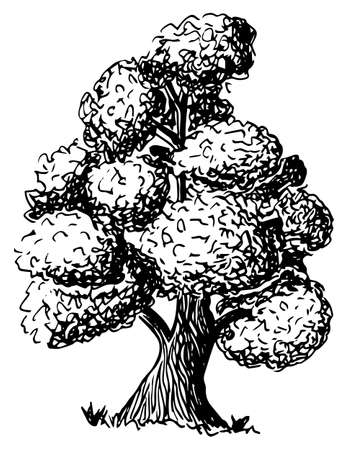 vector illustration of a deciduous tree sketched by handのイラスト素材