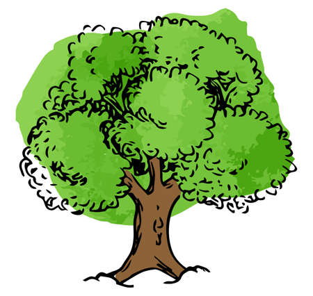 vector illustration of a deciduous tree sketched by handのイラスト素材