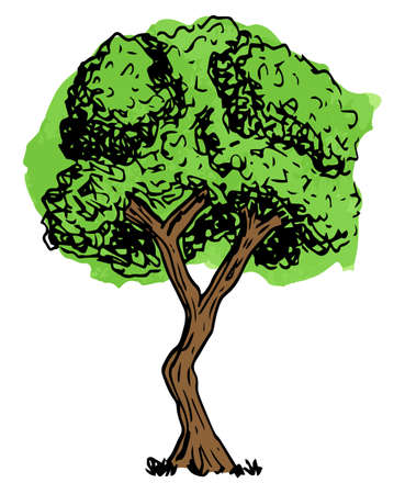 vector illustration of a deciduous tree sketched by handのイラスト素材