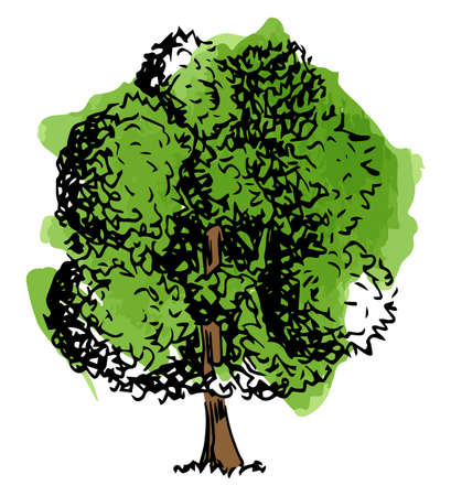 vector illustration of a deciduous tree sketched by handのイラスト素材