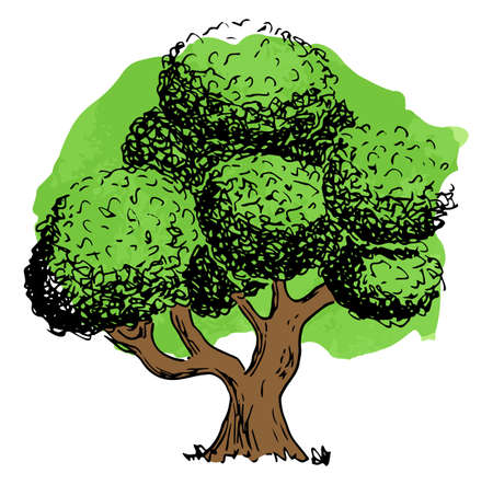 vector illustration of a deciduous tree sketched by handのイラスト素材