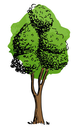 vector illustration of a deciduous tree sketched by handのイラスト素材
