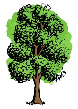 vector illustration of a deciduous tree sketched by handのイラスト素材