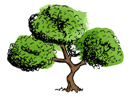 vector illustration of a deciduous tree sketched by handのイラスト素材