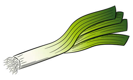 vector illustration of a drawn cartoon leek stickのイラスト素材