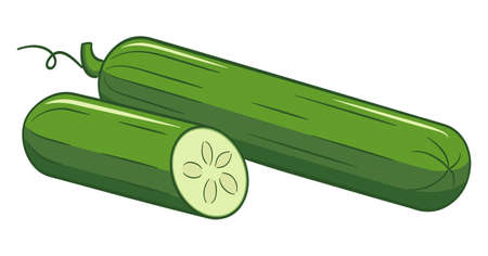 Vector illustration of a drawn cartoon salad cucumberのイラスト素材