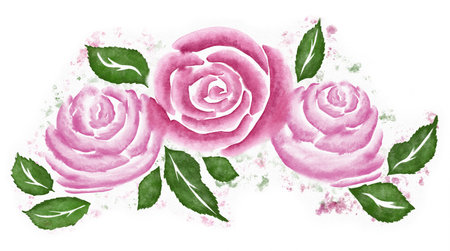 Illustration of a rose composition in watercolorの写真素材