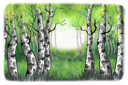 watercolor illustration of a birch forest in springtimeの写真素材