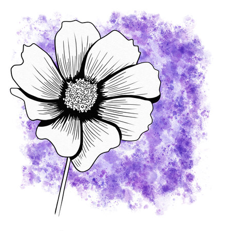 line ink drawing of cosmos flower with watercolor background as greeting cardの写真素材