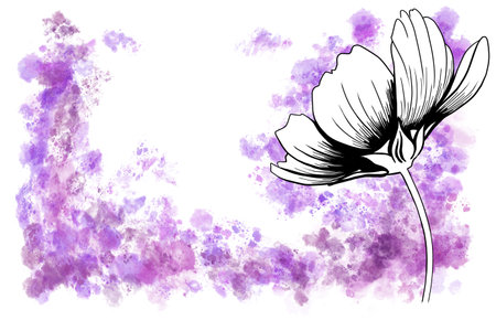 line ink drawing of cosmos flower with watercolor background as greeting cardの写真素材