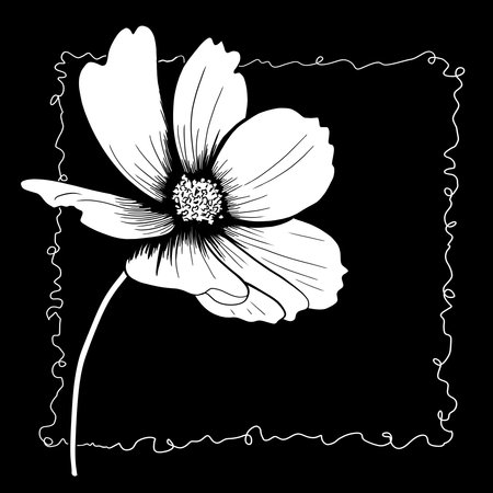 line ink drawing of cosmos flower on black background as greeting cardの写真素材