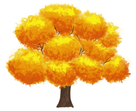 Watercolor illustration of hand painted autumn tree on white backgroundの写真素材