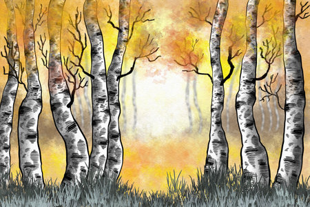 Watercolor illustration of a birch forest in autumnの写真素材