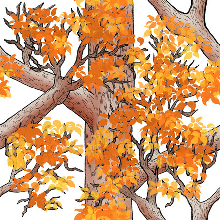 Seamless pattern of canopy in forest with autumn leaves on white backgroundの写真素材