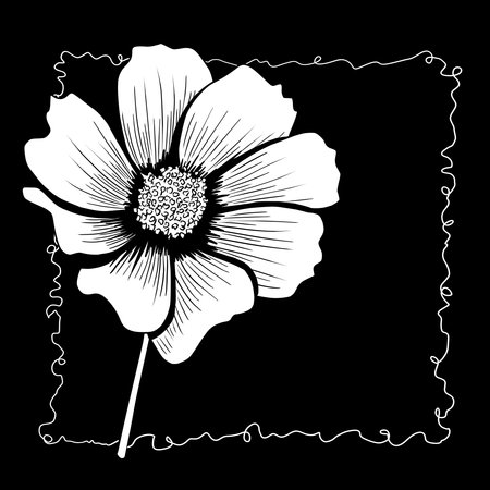 line ink drawing of cosmos flower on black background as greeting cardの写真素材