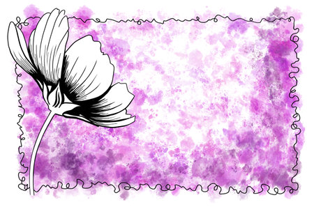 line ink drawing of cosmos flower with watercolor background as greeting cardの写真素材