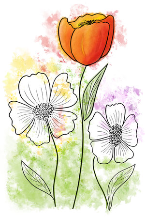 illustration of three colorful flowers in watercolor and line art on white backgroundの写真素材